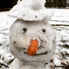 Schneemann mit Karottennase