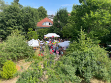 Festwiese von oben