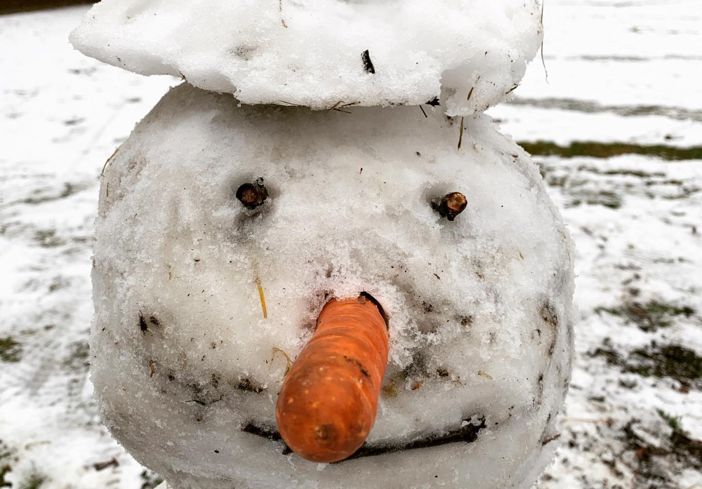 Schneemann mit Karottennase