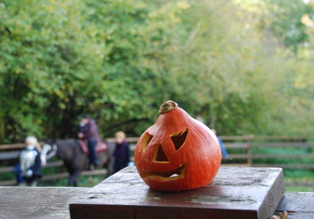 Halloween- Kürbis am Reitplatz