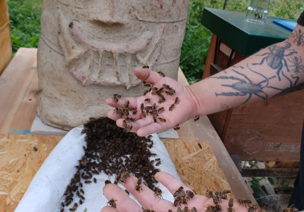 Umzug der Bienen in die Rolandstraße